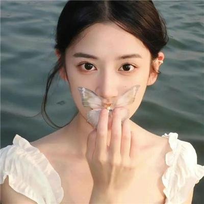 森林孤影